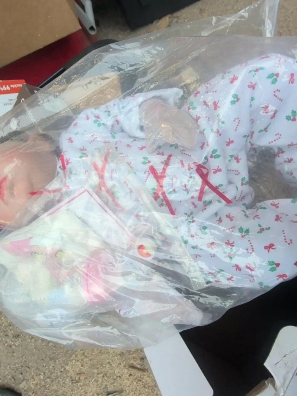 Realistic Reborn Baby Doll in Box with Accessories